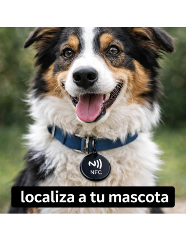 NFC Contact ID Tag for Pets & Lost Items | NFC Stock