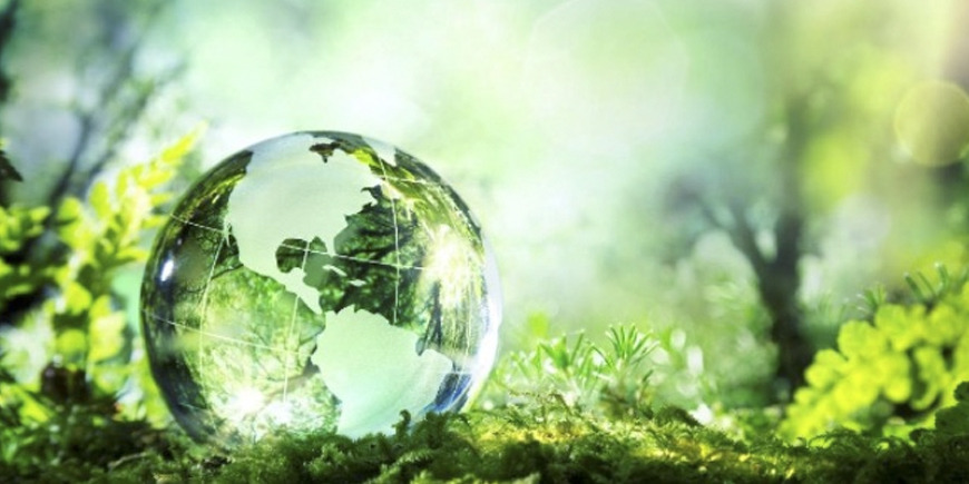 ETIQUETAS NFC ECOLÓGICAS Y BIODEGRADABLES, ¿ES POSIBLE UN RFID VERDE?